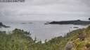 ./images/calvert/foggy-cove/20260801/foggy-cove20260801_123001M.jpg