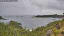 ./images/calvert/foggy-cove/20260801/foggy-cove20260801_130001M.jpg