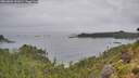 ./images/calvert/foggy-cove/20260801/foggy-cove20260801_131001M.jpg