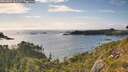 ./images/calvert/foggy-cove/20260801/foggy-cove20260801_182501M.jpg