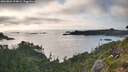 ./images/calvert/foggy-cove/20260801/foggy-cove20260801_194002M.jpg