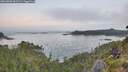./images/calvert/foggy-cove/20260802/foggy-cove20260802_061501M.jpg