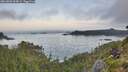 ./images/calvert/foggy-cove/20260802/foggy-cove20260802_064501M.jpg