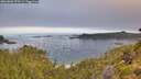 ./images/calvert/foggy-cove/20260802/foggy-cove20260802_070501M.jpg
