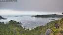./images/calvert/foggy-cove/20260802/foggy-cove20260802_072501M.jpg