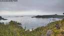 ./images/calvert/foggy-cove/20260802/foggy-cove20260802_073001M.jpg