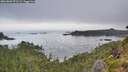 ./images/calvert/foggy-cove/20260802/foggy-cove20260802_073501M.jpg
