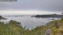 ./images/calvert/foggy-cove/20260802/foggy-cove20260802_074001M.jpg