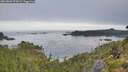 ./images/calvert/foggy-cove/20260802/foggy-cove20260802_074501M.jpg
