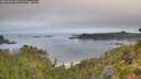 ./images/calvert/foggy-cove/20260802/foggy-cove20260802_081501M.jpg