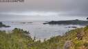 ./images/calvert/foggy-cove/20260802/foggy-cove20260802_082001M.jpg