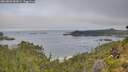./images/calvert/foggy-cove/20260802/foggy-cove20260802_083001M.jpg