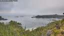 ./images/calvert/foggy-cove/20260802/foggy-cove20260802_090001M.jpg