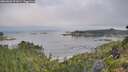 ./images/calvert/foggy-cove/20260802/foggy-cove20260802_091001M.jpg