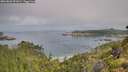./images/calvert/foggy-cove/20260802/foggy-cove20260802_092001M.jpg