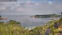 ./images/calvert/foggy-cove/20260802/foggy-cove20260802_093501M.jpg