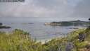 ./images/calvert/foggy-cove/20260802/foggy-cove20260802_094002M.jpg