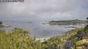 ./images/calvert/foggy-cove/20260802/foggy-cove20260802_094501M.jpg