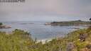 ./images/calvert/foggy-cove/20260802/foggy-cove20260802_101501M.jpg
