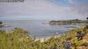 ./images/calvert/foggy-cove/20260802/foggy-cove20260802_103501M.jpg