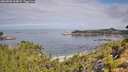 ./images/calvert/foggy-cove/20260802/foggy-cove20260802_104001M.jpg