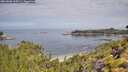 ./images/calvert/foggy-cove/20260802/foggy-cove20260802_105501M.jpg