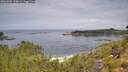 ./images/calvert/foggy-cove/20260802/foggy-cove20260802_113001M.jpg