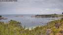 ./images/calvert/foggy-cove/20260802/foggy-cove20260802_113501M.jpg