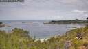 ./images/calvert/foggy-cove/20260802/foggy-cove20260802_114001M.jpg