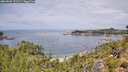 ./images/calvert/foggy-cove/20260802/foggy-cove20260802_121501M.jpg