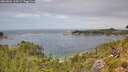 ./images/calvert/foggy-cove/20260802/foggy-cove20260802_134501M.jpg