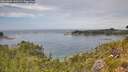 ./images/calvert/foggy-cove/20260802/foggy-cove20260802_140501M.jpg