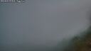 ./images/calvert/foggy-cove/20260803/foggy-cove20260803_053001M.jpg