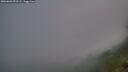 ./images/calvert/foggy-cove/20260803/foggy-cove20260803_053501M.jpg