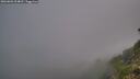 ./images/calvert/foggy-cove/20260803/foggy-cove20260803_054001M.jpg