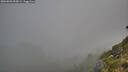 ./images/calvert/foggy-cove/20260803/foggy-cove20260803_055001M.jpg
