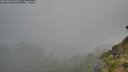./images/calvert/foggy-cove/20260803/foggy-cove20260803_055502M.jpg