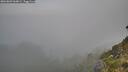 ./images/calvert/foggy-cove/20260803/foggy-cove20260803_060001M.jpg