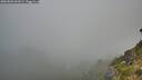 ./images/calvert/foggy-cove/20260803/foggy-cove20260803_061001M.jpg
