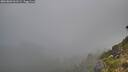 ./images/calvert/foggy-cove/20260803/foggy-cove20260803_061501M.jpg