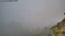 ./images/calvert/foggy-cove/20260803/foggy-cove20260803_062501M.jpg