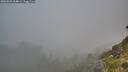 ./images/calvert/foggy-cove/20260803/foggy-cove20260803_064001M.jpg