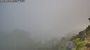 ./images/calvert/foggy-cove/20260803/foggy-cove20260803_064501M.jpg