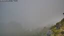 ./images/calvert/foggy-cove/20260803/foggy-cove20260803_065501M.jpg