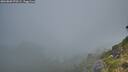./images/calvert/foggy-cove/20260803/foggy-cove20260803_070501M.jpg