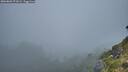 ./images/calvert/foggy-cove/20260803/foggy-cove20260803_071001M.jpg