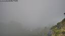 ./images/calvert/foggy-cove/20260803/foggy-cove20260803_071501M.jpg