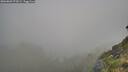 ./images/calvert/foggy-cove/20260803/foggy-cove20260803_072002M.jpg