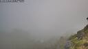 ./images/calvert/foggy-cove/20260803/foggy-cove20260803_073001M.jpg