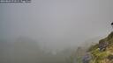 ./images/calvert/foggy-cove/20260803/foggy-cove20260803_073501M.jpg